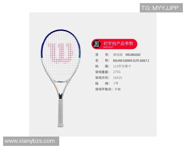 选择网球拍时哪个品牌最值得信赖和推荐的详细分析与比较