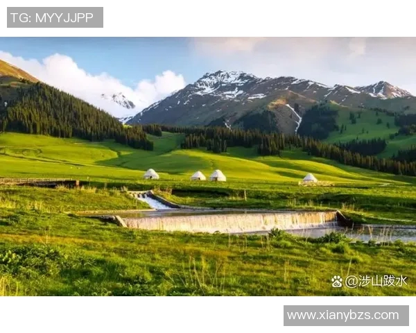 梅萨的魅力探秘:在这片神秘土地上感受自然与文化的交融之美