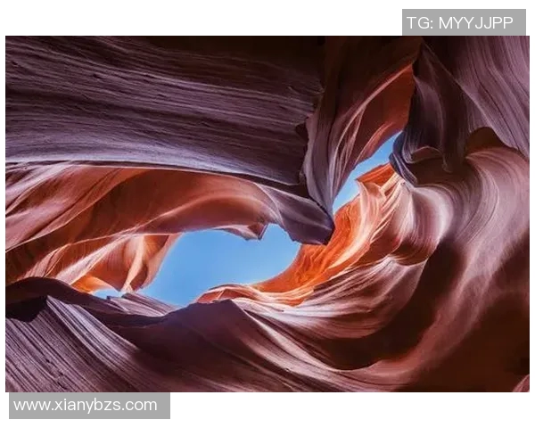 山之厨的美味探秘与自然的和谐共生之旅