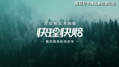 b体育网页版在线登录：“销量双冠王”大自然地板：从全国领先到世界领先的蜕变(图8)